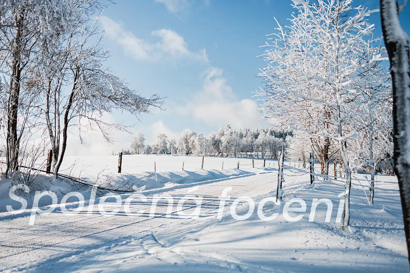 Fotoobraz Zimní krajina